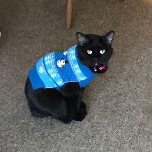 Meet your Posher, Barb